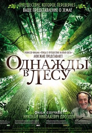 Однажды в лесу (2014) смотреть фильм онлайн