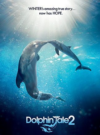 История дельфина 2 (2014) смотреть фильм онлайн