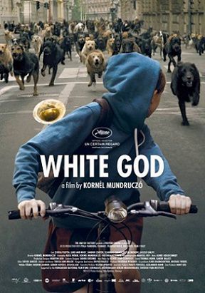 Белый Бог (2015) смотреть фильм онлайн